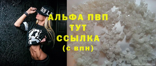 тгк Абаза